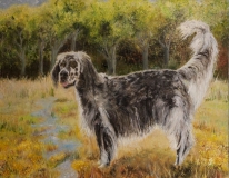 Cooper-at-Thompson-Field