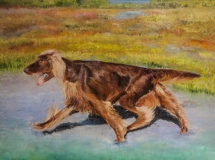 Gavin-running-in-marshes